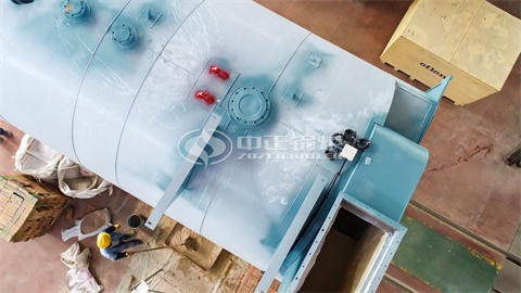 嬰兒游泳館專(zhuān)用燃油鍋爐